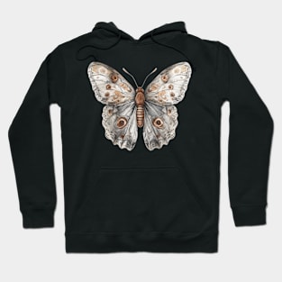 Celestial Moth Butterfly Hoodie